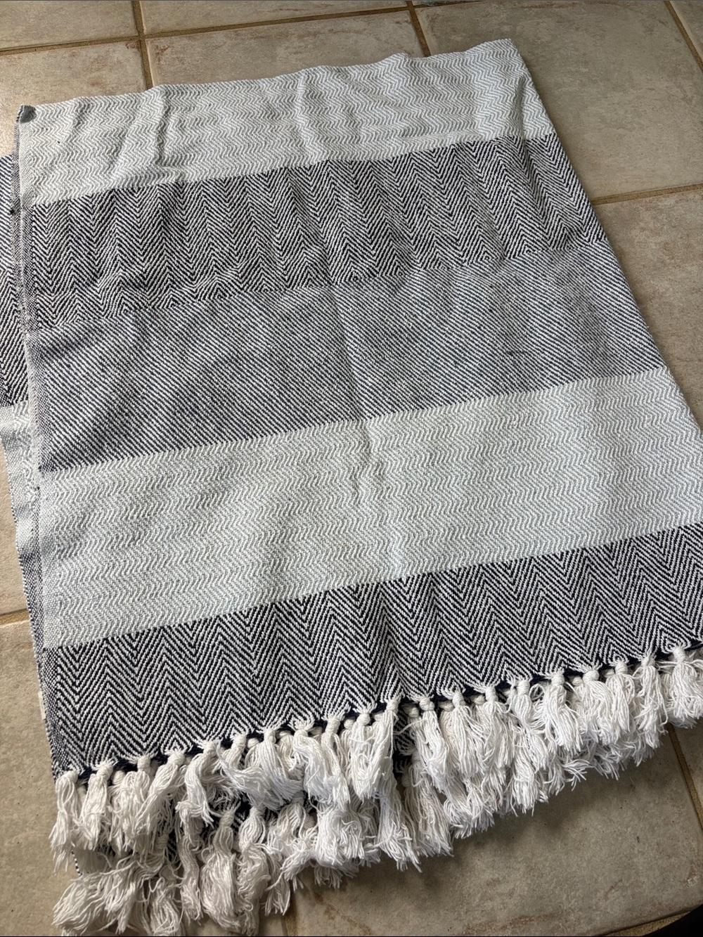 Striped Herringbone Tassel Throw Blanket - Black & White